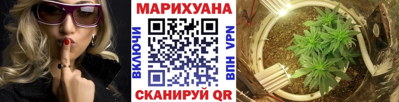 Продажа наркотиков Гурьевск Канабис  МЕФ  Кокаин  Лсд 25  Гашиш 