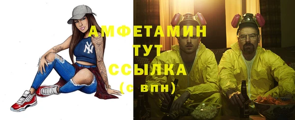 прущие грибы Горно-Алтайск