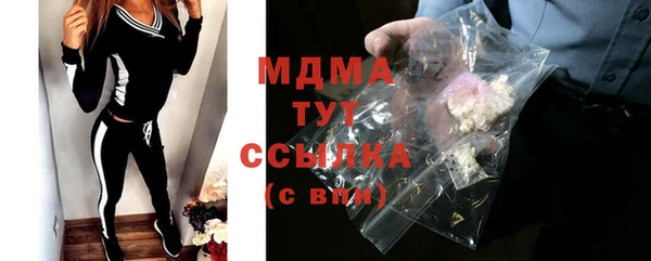 прущие грибы Горно-Алтайск