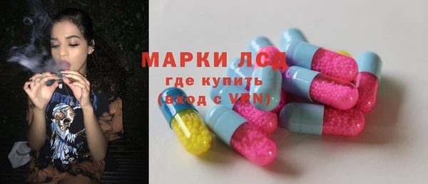 прущие грибы Горно-Алтайск