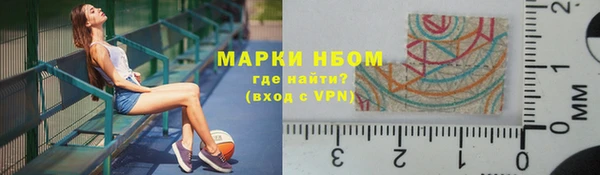 прущие грибы Горно-Алтайск