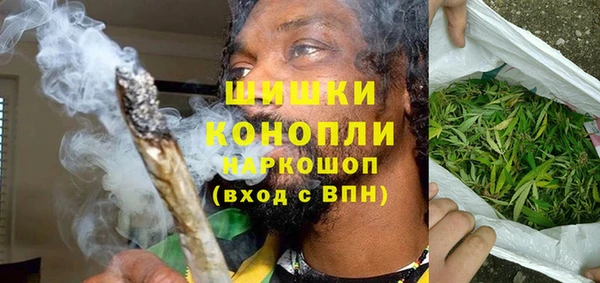прущие грибы Горно-Алтайск