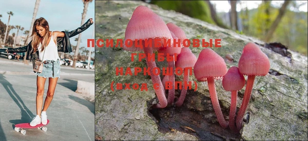 прущие грибы Горно-Алтайск