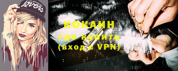 прущие грибы Горно-Алтайск