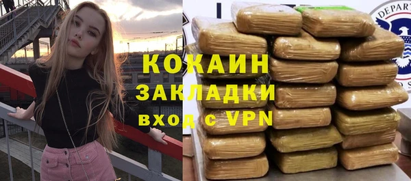 прущие грибы Горно-Алтайск