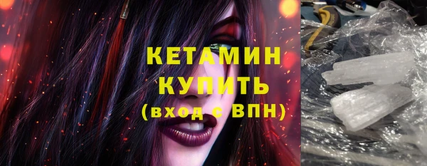 прущие грибы Горно-Алтайск