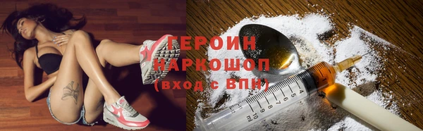 прущие грибы Горно-Алтайск