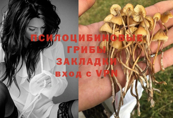 MESCALINE Горняк