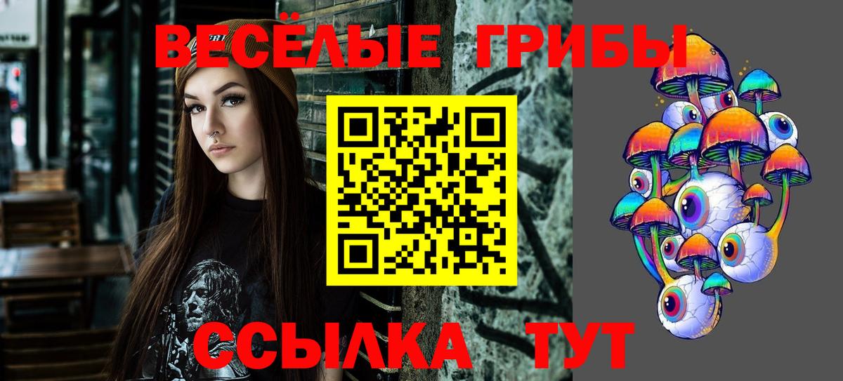 Псилоцибиновые грибы MAGIC MUSHROOMS  Гурьевск 