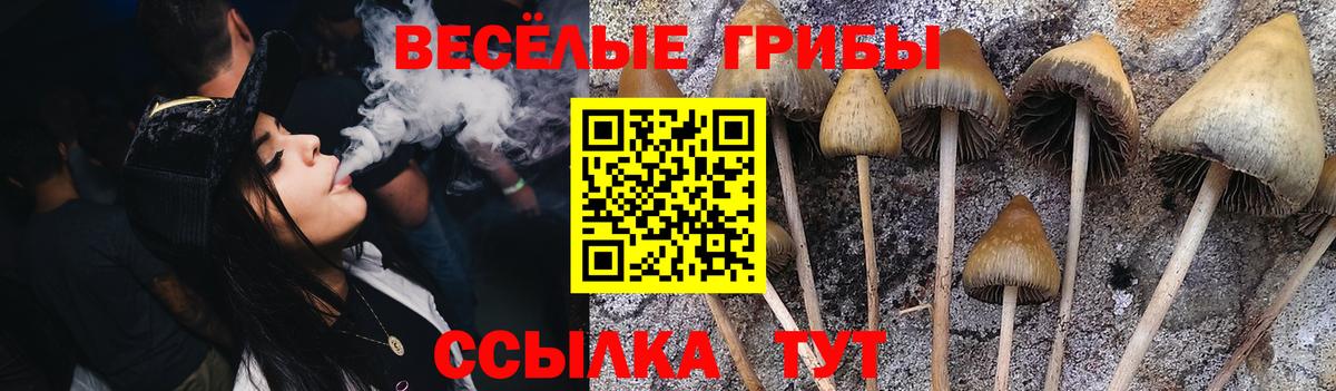 Галлюциногенные грибы Magic Shrooms Гурьевск